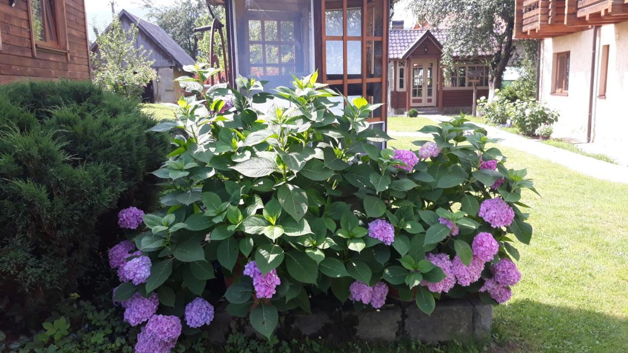 У Тарнавських Mykuljtsjin Eksteriør bilde